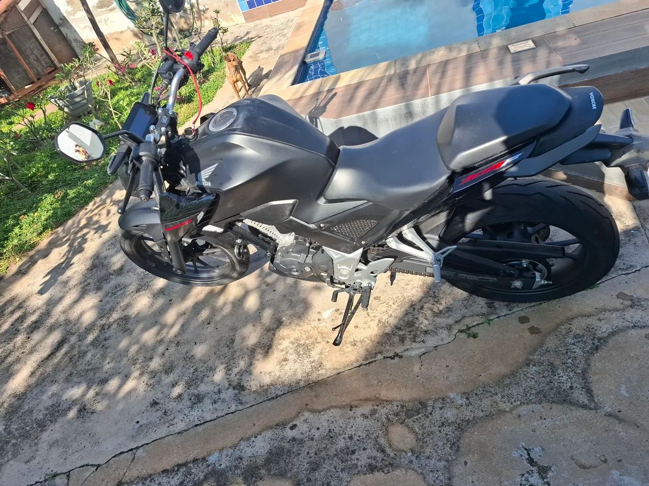 Cb300F flex 2024 - Foto 3