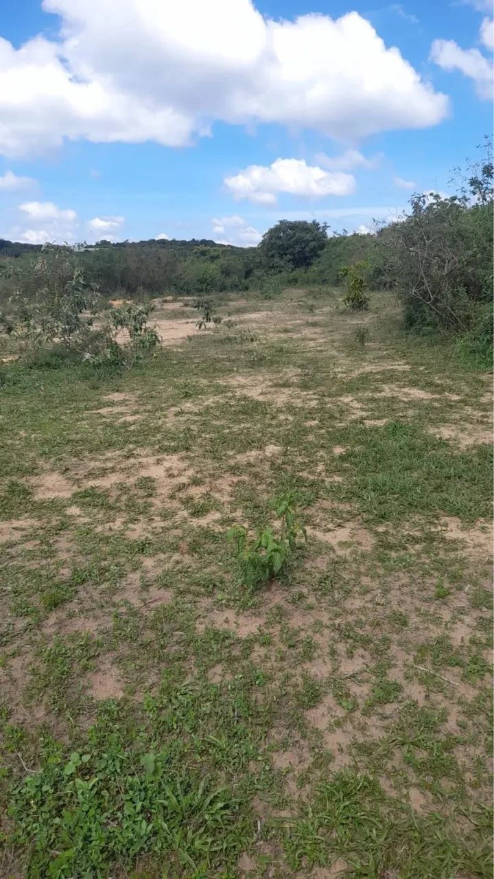 Vendo 2 terrenos 25.000 cada 