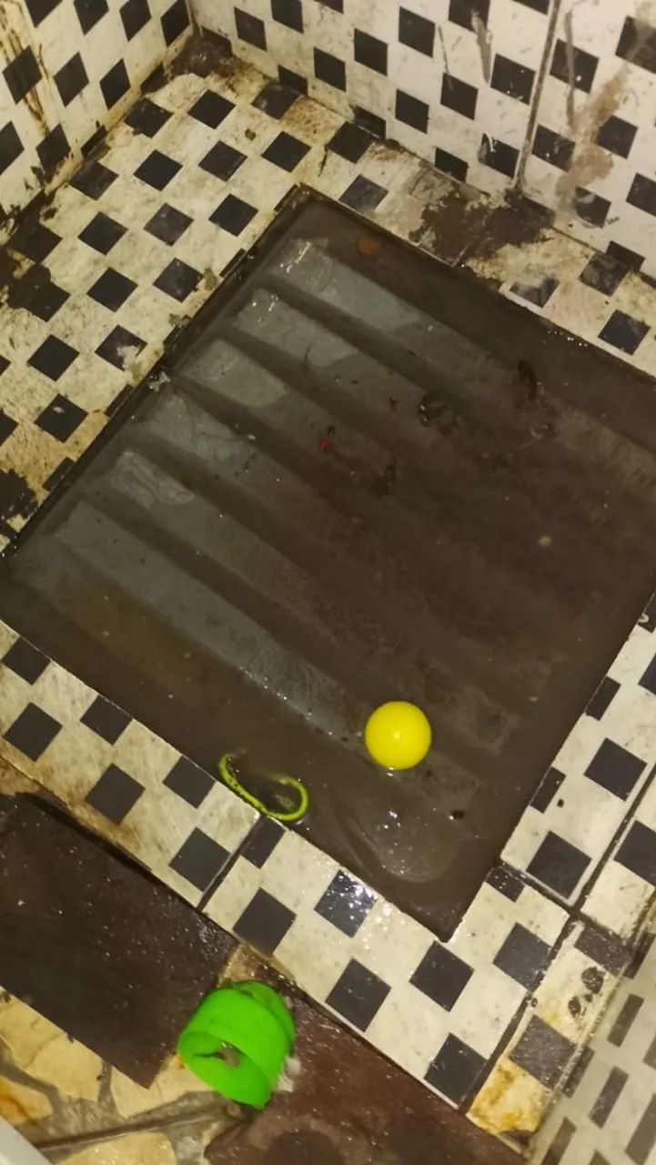 Limpeza Pesada Ronildinha 