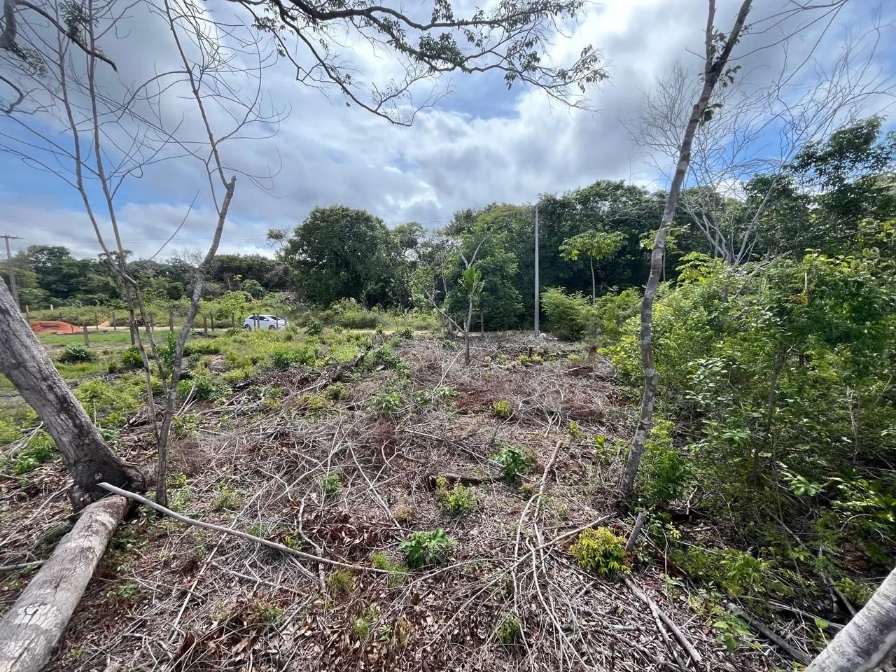 Lote 10x30 no Pajuçara - Foto 4