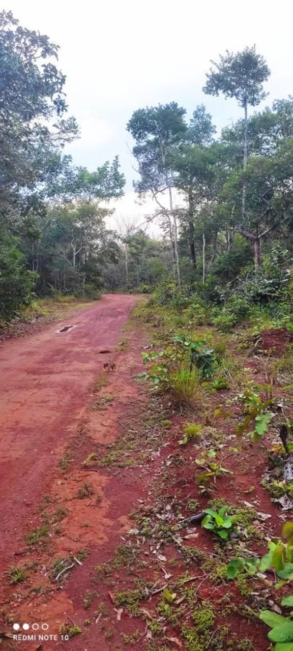 Fazenda para Venda em Monte Santo do Tocantins - Foto 4