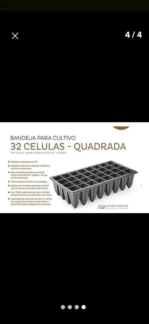 Bandeja para muda de café - Foto 3