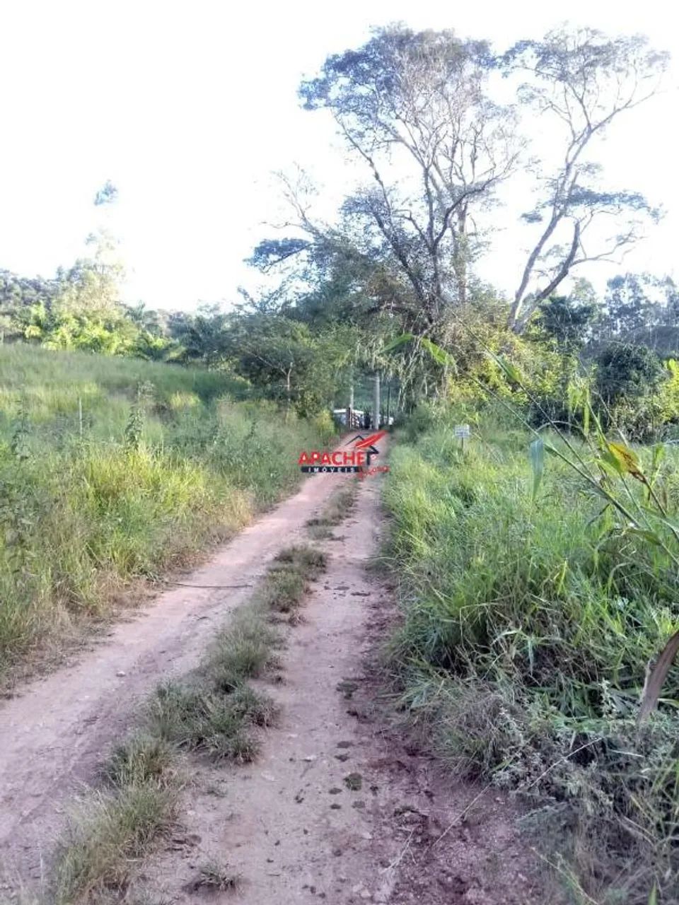 Chácara, no Sítio Boa Vista, em Viçosa - MG. - Foto 2