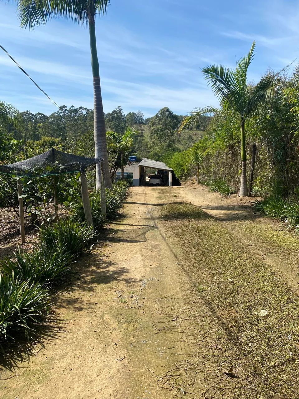 SÍTIO A VENDA - PONTE ALTA, PILAR DO SUL