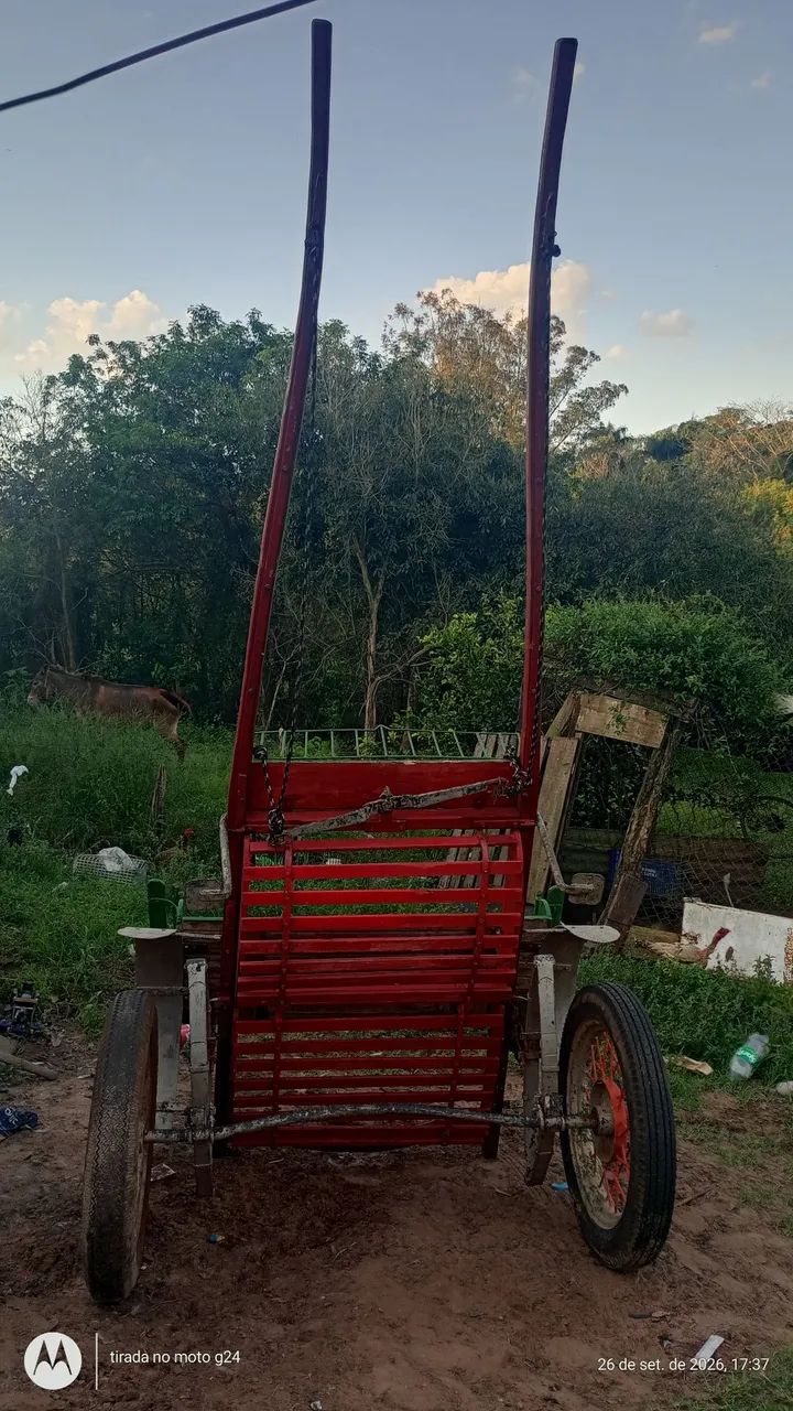 Charrete - Foto 2