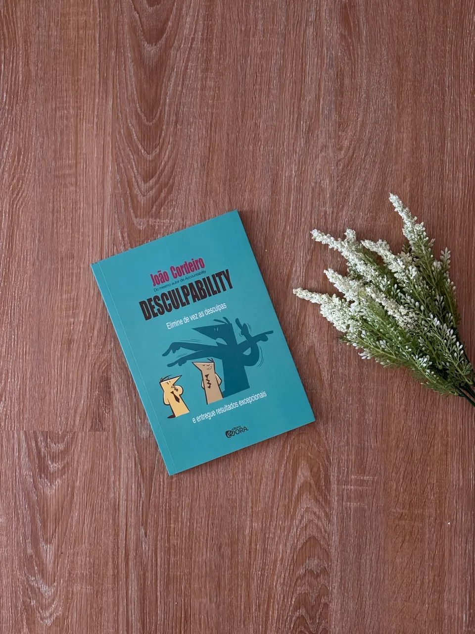 Livro: Desculpability