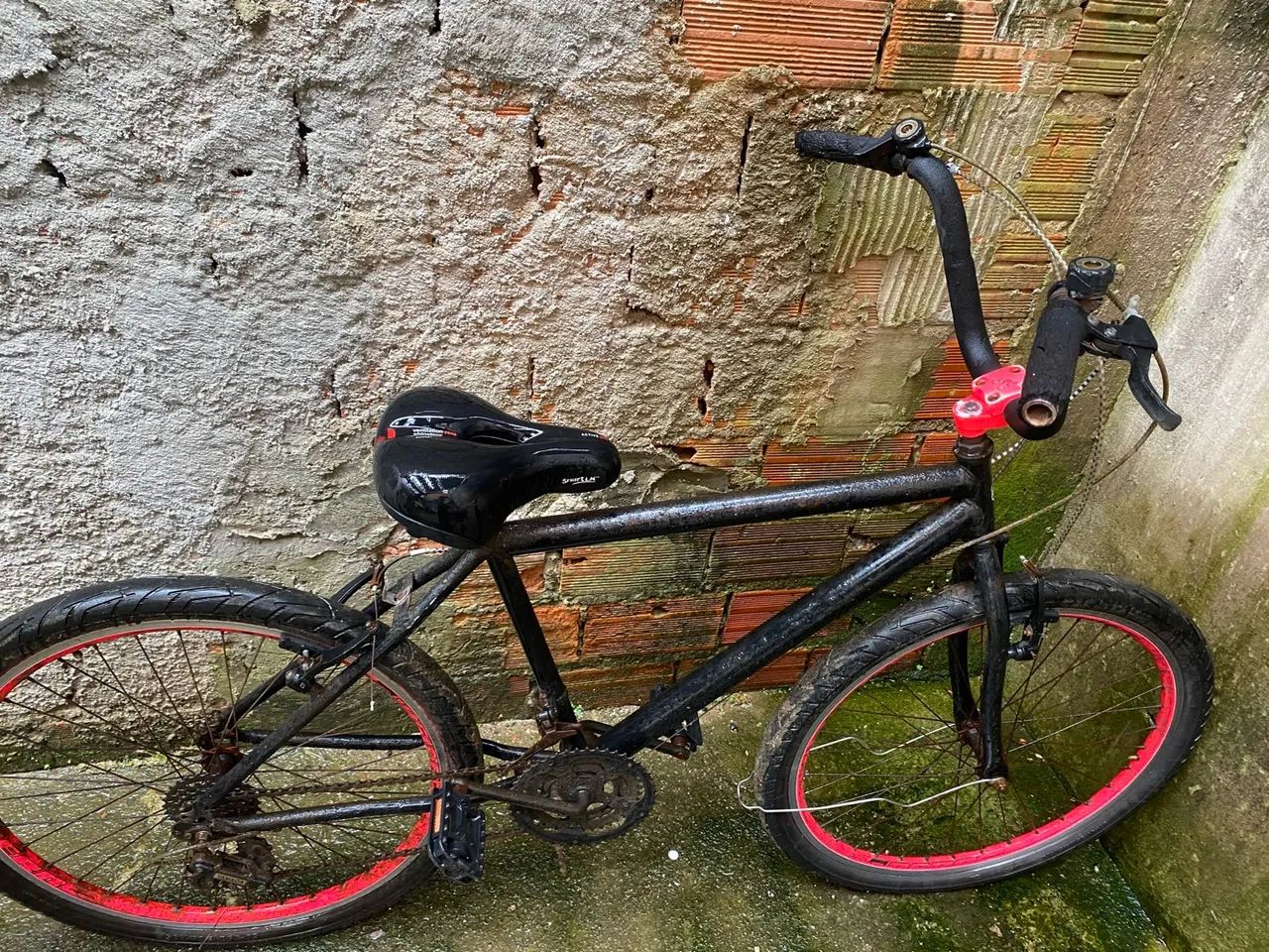 Bicicleta