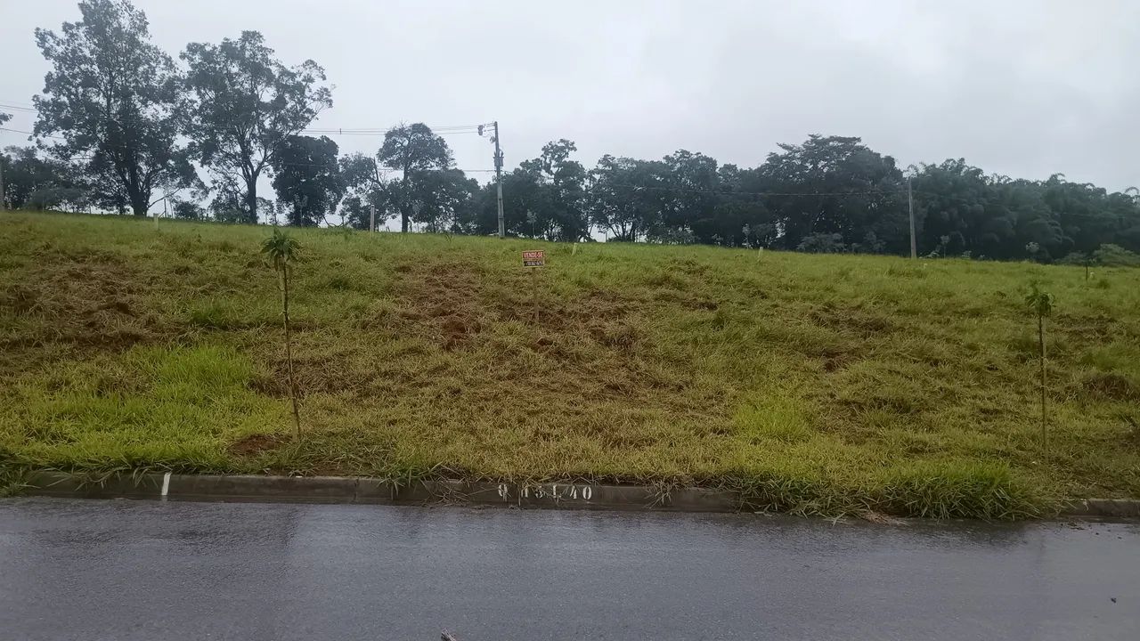 Foto - São Paulo - Jardim Bela Vista