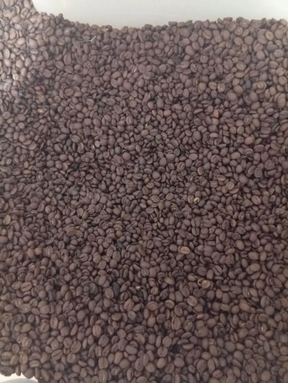 Café torrado - Foto 2