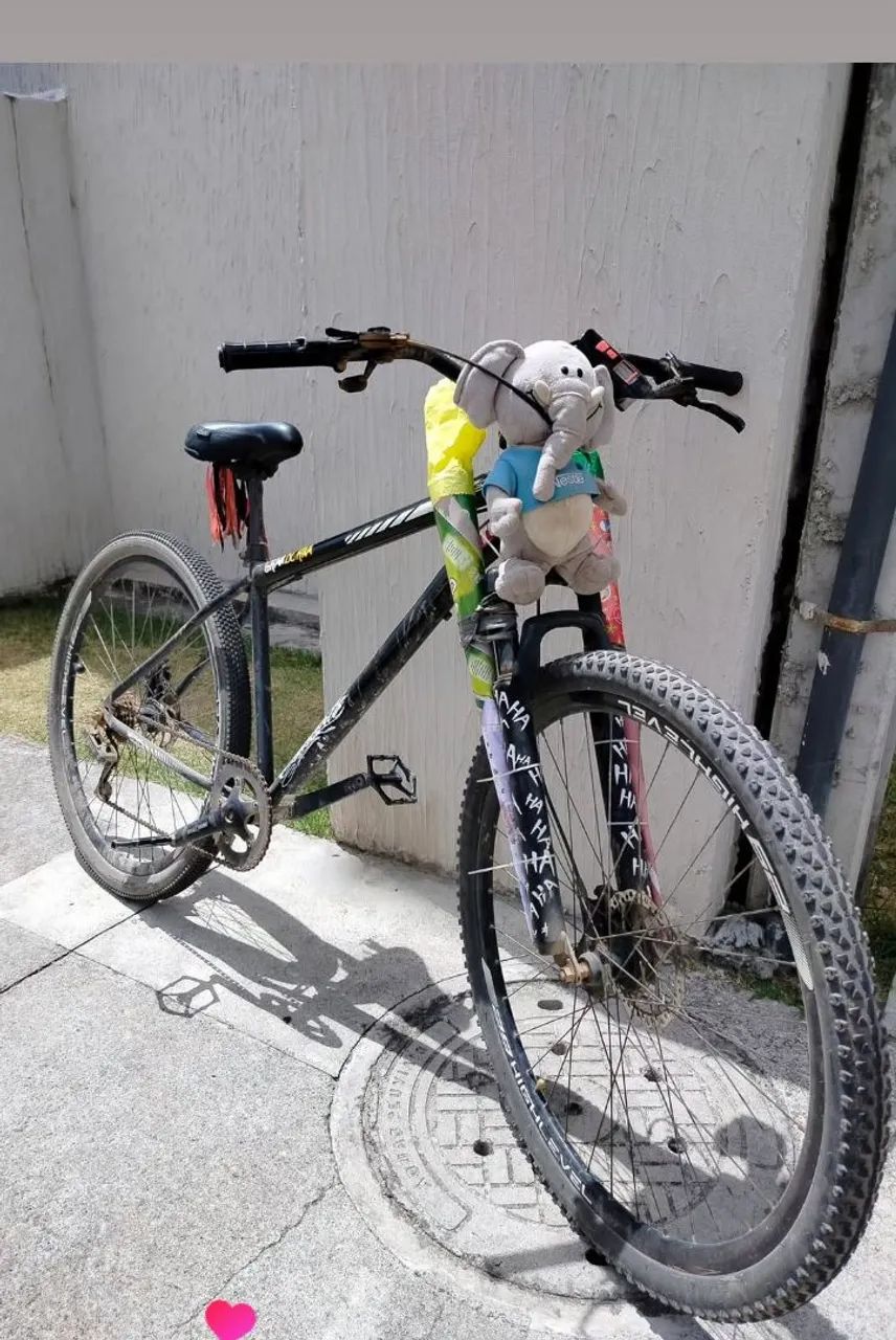 BICICLETA ARO 29 