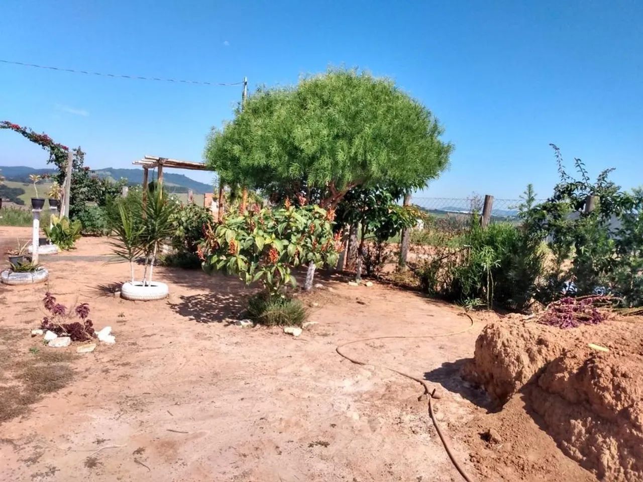 Chácara à venda em Jacutinga, A Definir, com 1000 m² - Foto 4