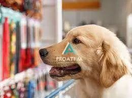 Pet Shop no Bairro Assunção em São Bernardo do Campo - Foto 4