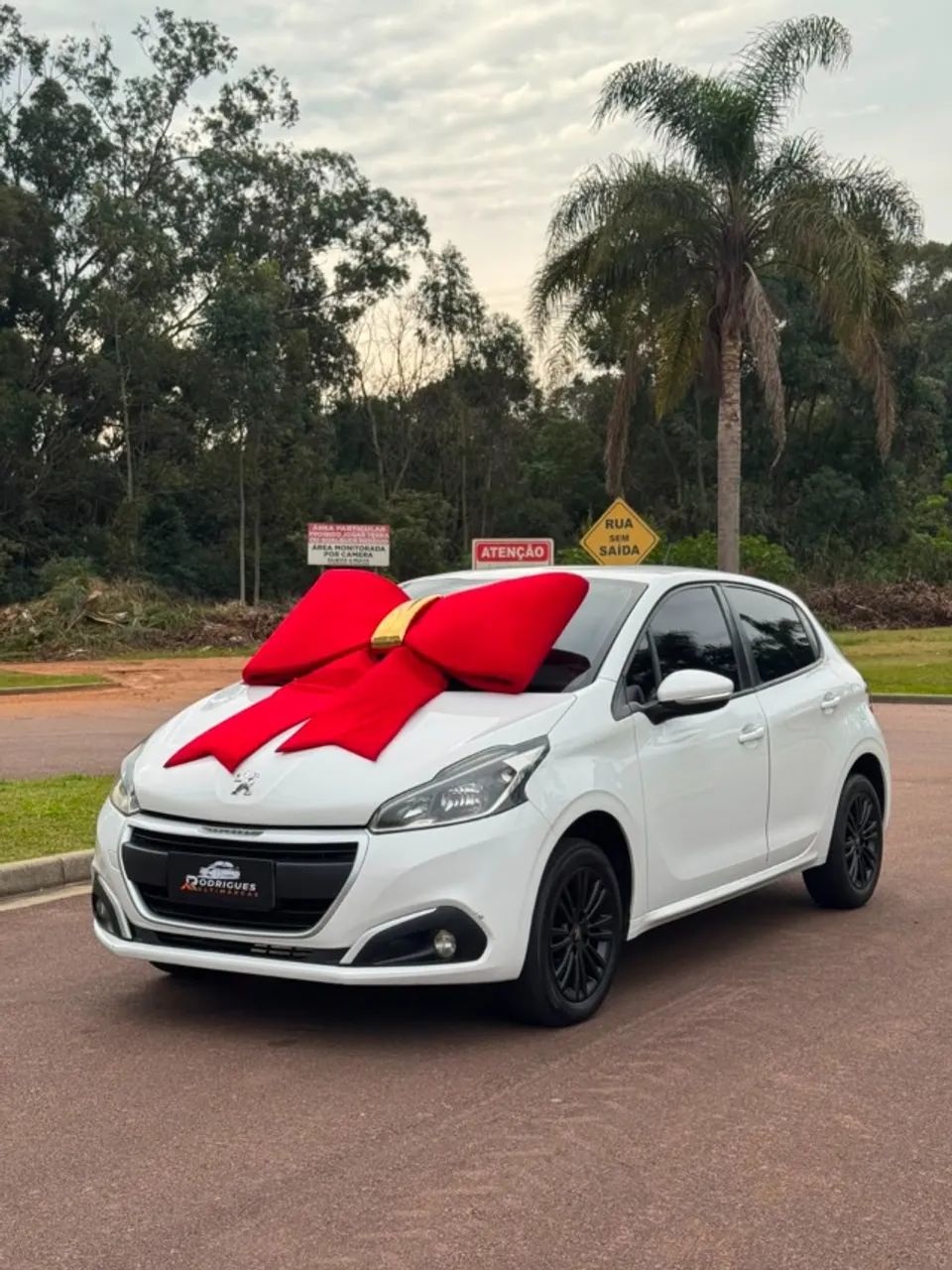 Peugeot 208 2019