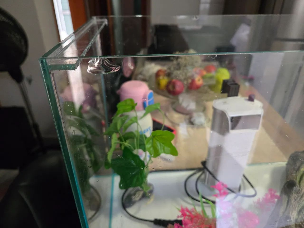 Aquario 43L + enfeite + filtro  - Foto 2