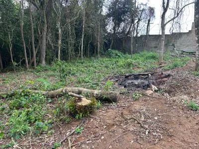 Terreno norte da ilha  - Foto 2