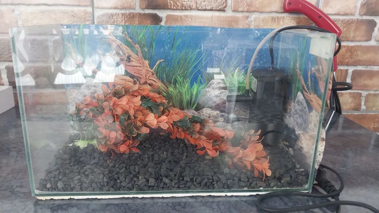 Aquario completo - Foto 2