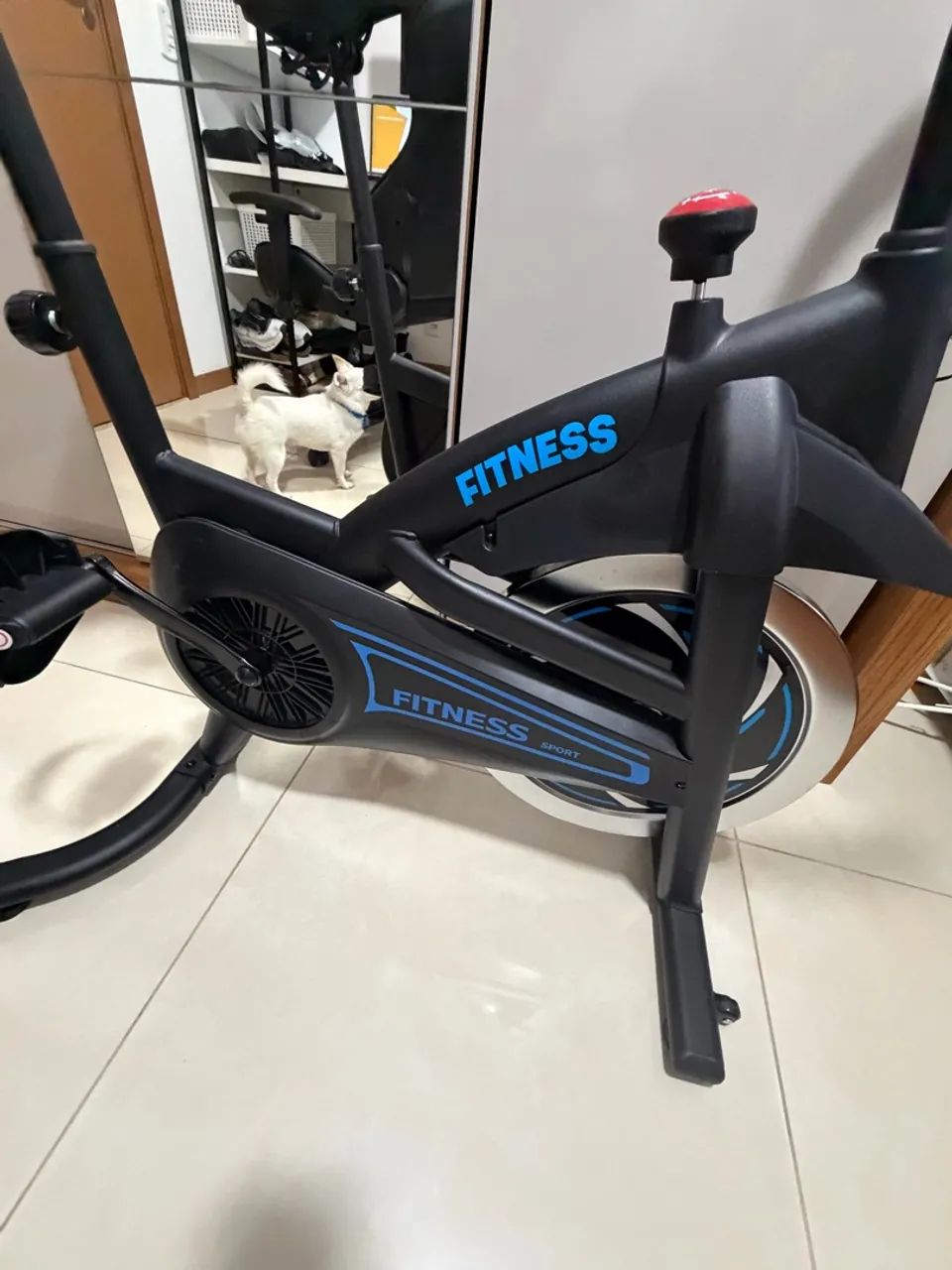 Bicicleta de Sppining