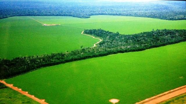Fazenda 5050 ha com 2300 em Lavoura Porto dos Gauchos MT