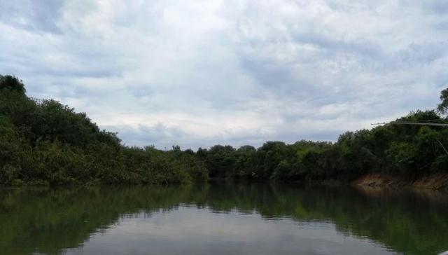 Fazenda 9.900 ha São Felix Do Araguaia - Foto 2