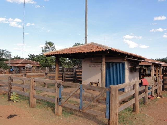 Fazenda 6,000 ha Vale do Araguaia MT. Cinematográfica - Foto 10