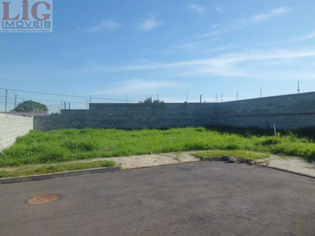 Terreno, Pinheirinho, Curitiba-PR - Foto 3