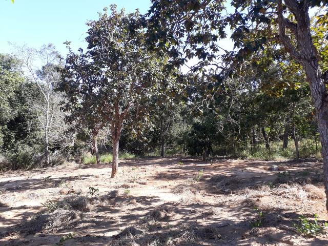 Vendo sítio em felixlândia !!!! - Foto 11