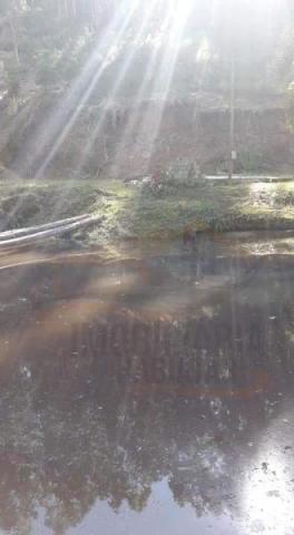 Chácara para venda em campina grande do sul, capivari - Foto 3
