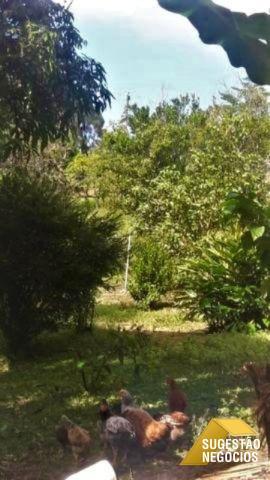Chácara em tapirai para lazer ou moradia | 2991 - Foto 9