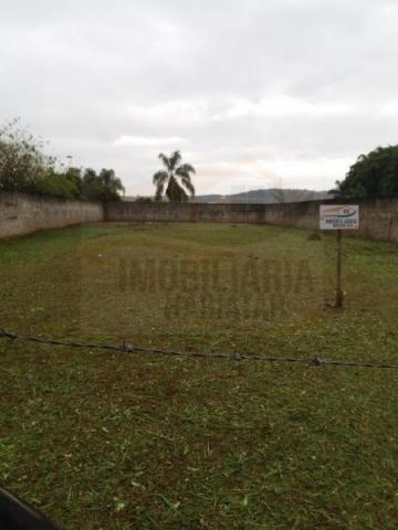 Terreno para venda em campina grande do sul, jardim paulista - Foto 4