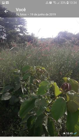 Chácara em Bonfinópolis - Foto 5