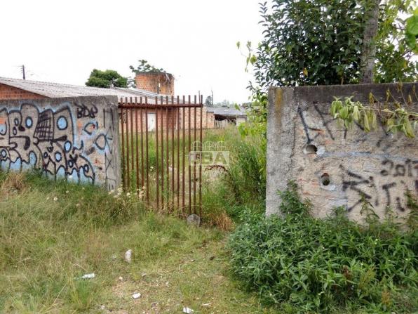 Terreno à venda em Borda do campo, São josé dos pinhais cod:11546.001 - Foto 2