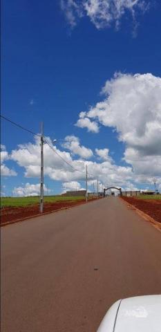8046 | Terreno à venda em Rodovia, Iguaraçu - Foto 6
