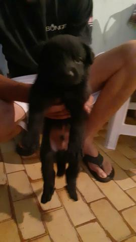 Vende se - Foto 5