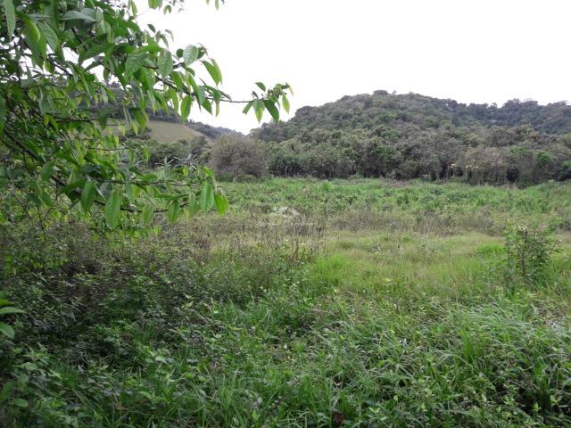 Jordão Corretores - Ótimo Sítio em Cachoeiras de Macacu - Foto 12