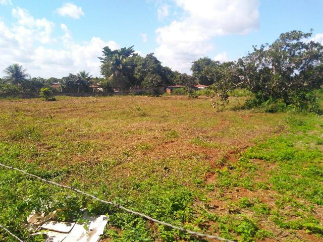 Terreno em Conceição do Jacuípe .Telefone * ou * - Foto 7