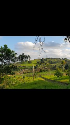 Propriedade Vitória de Santo Antão (destrito oiteiro) - Foto 3