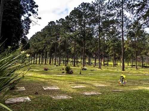 Jazigo com 2 gavetas no cemitério Parque da Colina em Belo Horizonte - Foto 4