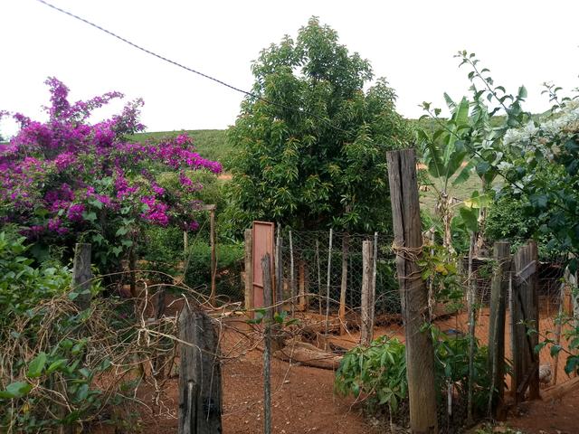 Sitio com agua em Claudio MG - Foto 3
