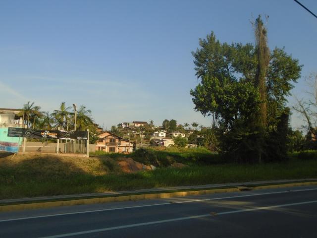 Terreno para alugar em Floresta, Joinville cod:06772.001