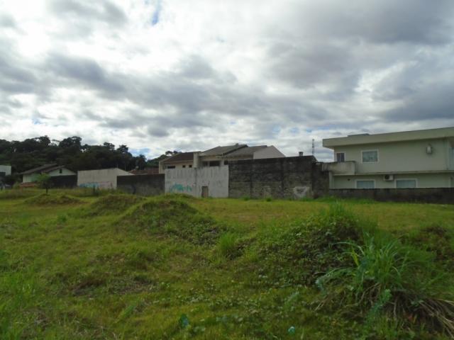 Terreno para alugar em Santa catarina, Joinville cod:08122.002 - Foto 6