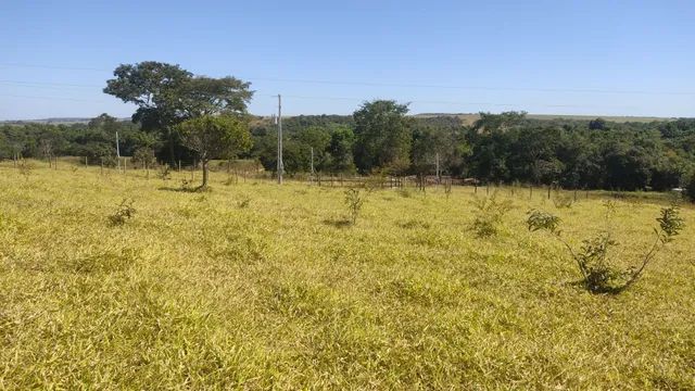 CHÁCARA A VENDA  2.000 MTS ANÁPOLIS GO !DIRETO COM PROPRIETÁRIO! - Foto 5