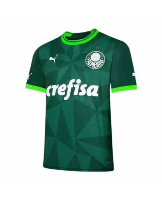 Camisa palmeiras 