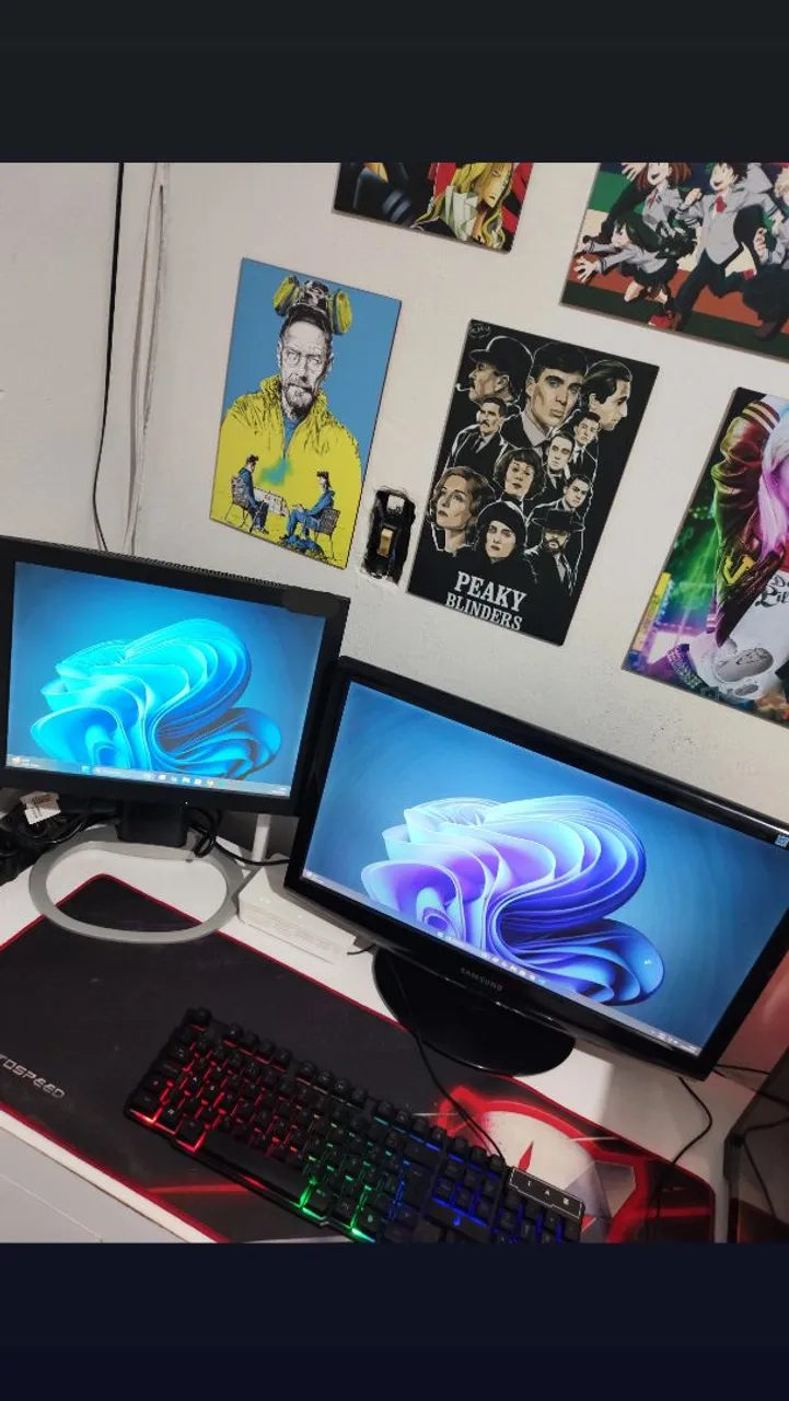 Dois Monitores R$450