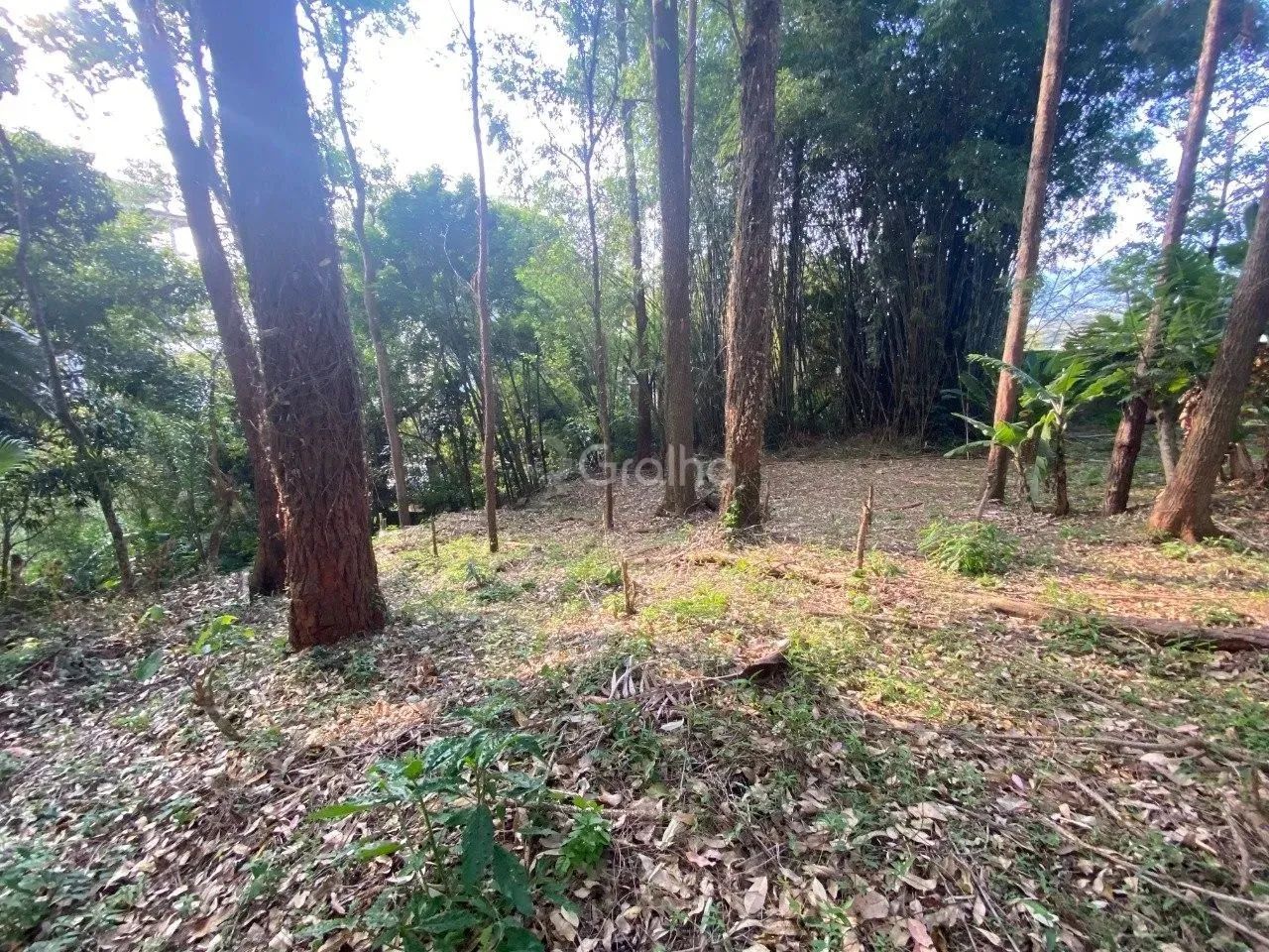 Terreno para Venda em Florianópolis, Pantanal
