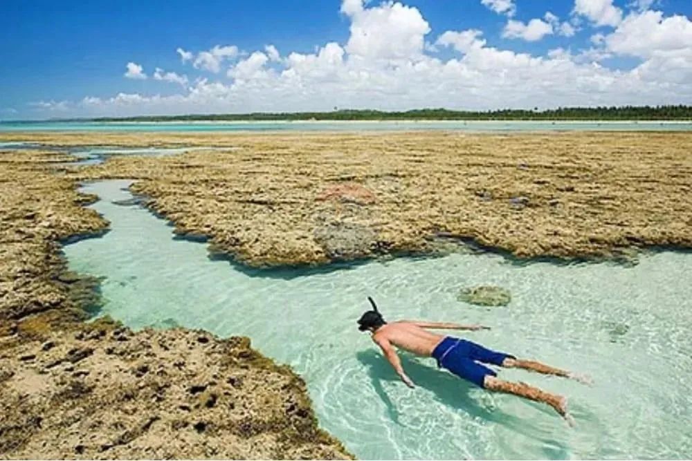 TERRENO EM SÃO MIGUEL DOS MILAGRES - Foto 11