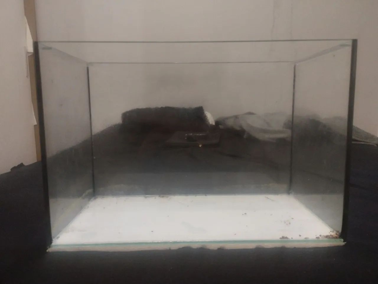 Aquário de 40 litros