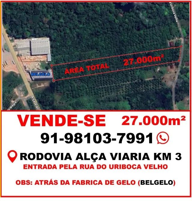 Foto - Marituba - São João