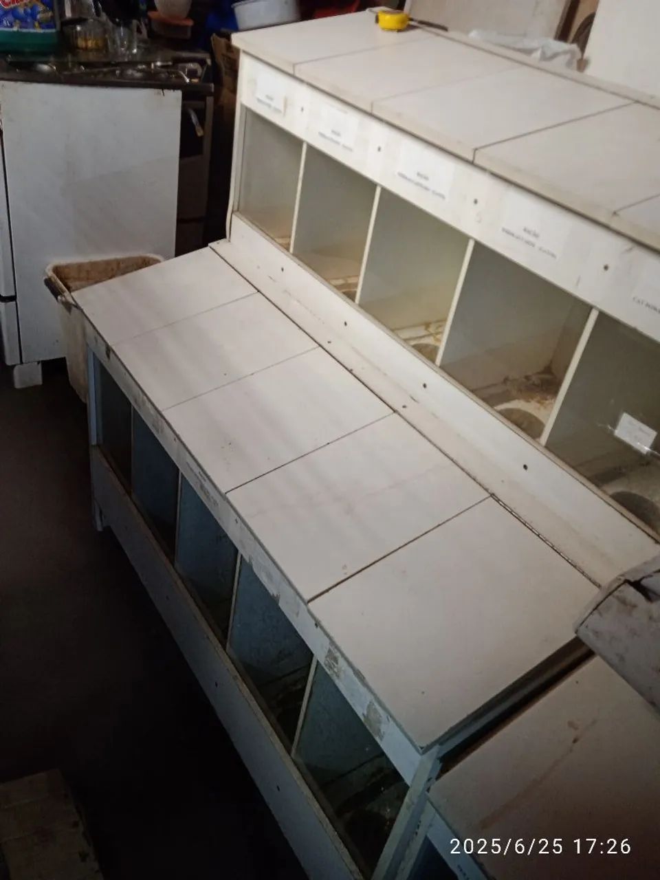 Exposito de ração  ou grãos para pet shop ou loja. - Foto 5