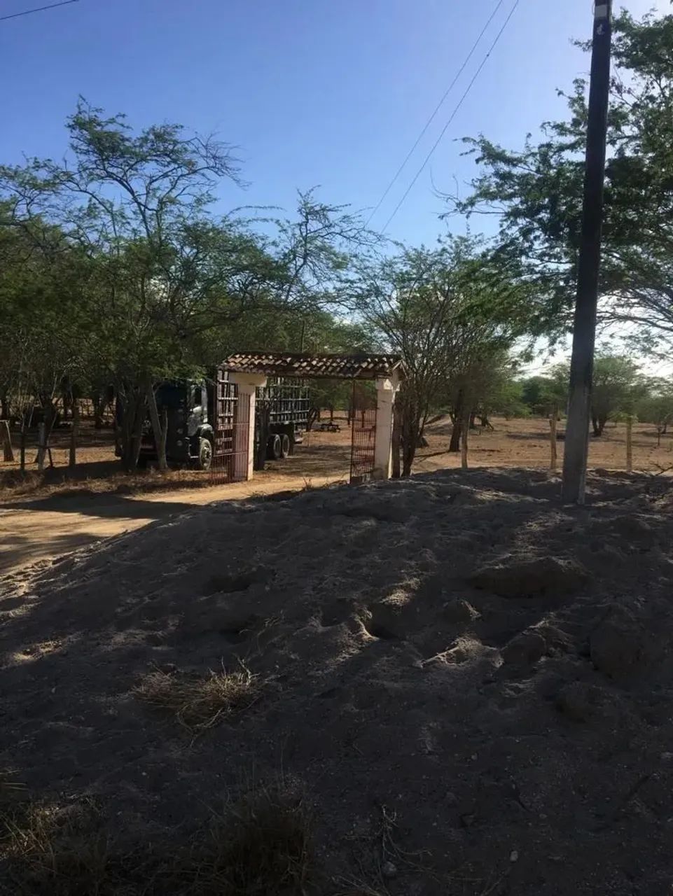 Fazenda 300 hec, BR 232 Passando Dentro, São Caetano, Vendo Desmembrada, Valor p/hec - Foto 4