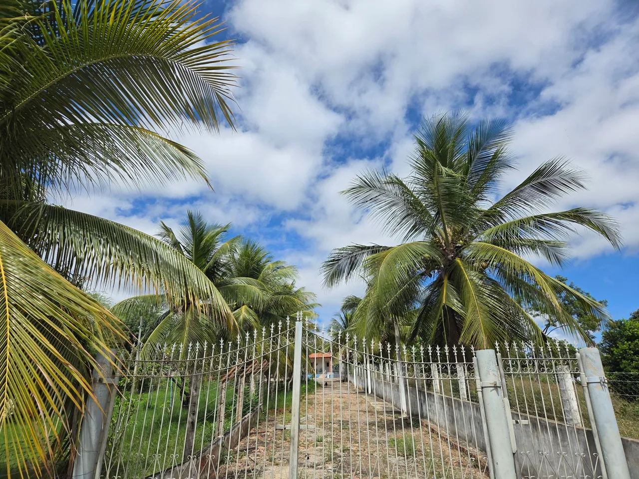 Sítio no município de Porteiras Ceará próximo de Brejo Santo